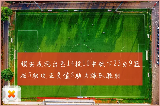 锡安表现出色14投10中砍下23分9篮板5助攻正负值5助力球队胜利