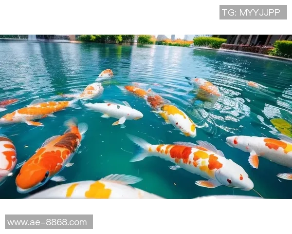 徐新自称阳光球迷称其锦鲤认为好运来自于不做亏心事