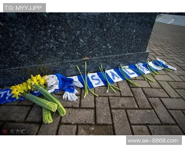 卡迪夫城就萨拉坠机事件向南特索赔12亿欧元提起诉讼